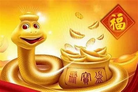 金蛇年是哪一年|金蛇年是哪些年份 金蛇命运怎么样